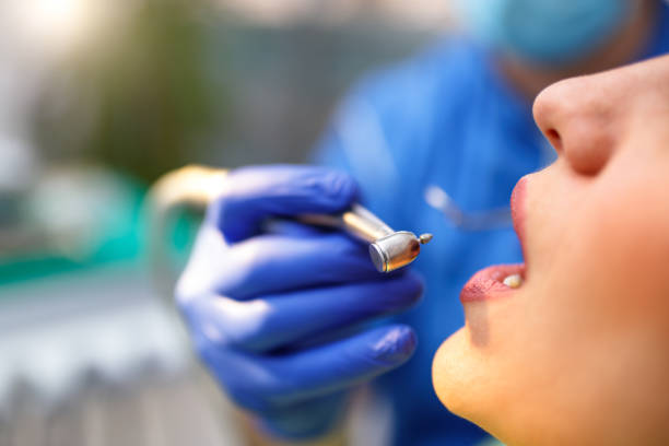  Fort Dix, NJ Holistic Dental Services Pros